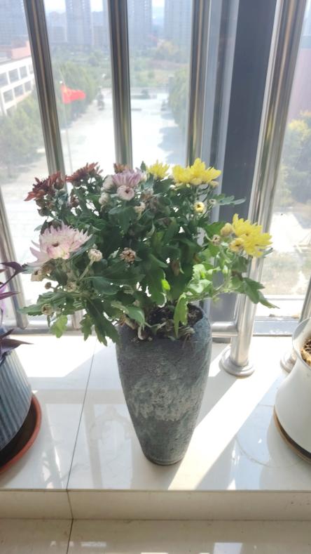 c2bb4476c1d8a8c5a899b1a3678845a