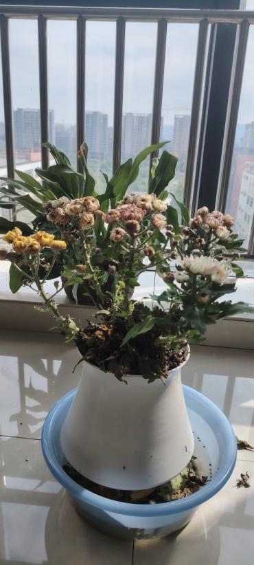 cdcfadafb2624c6a6a7010cacb8d6a2