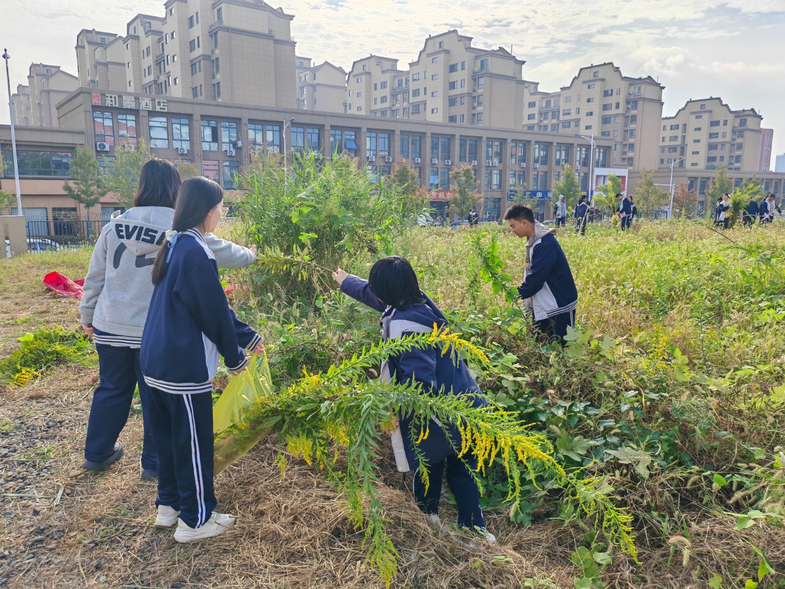 QQ图片20251204142619.jpg QQ图片20251204142619.jpg