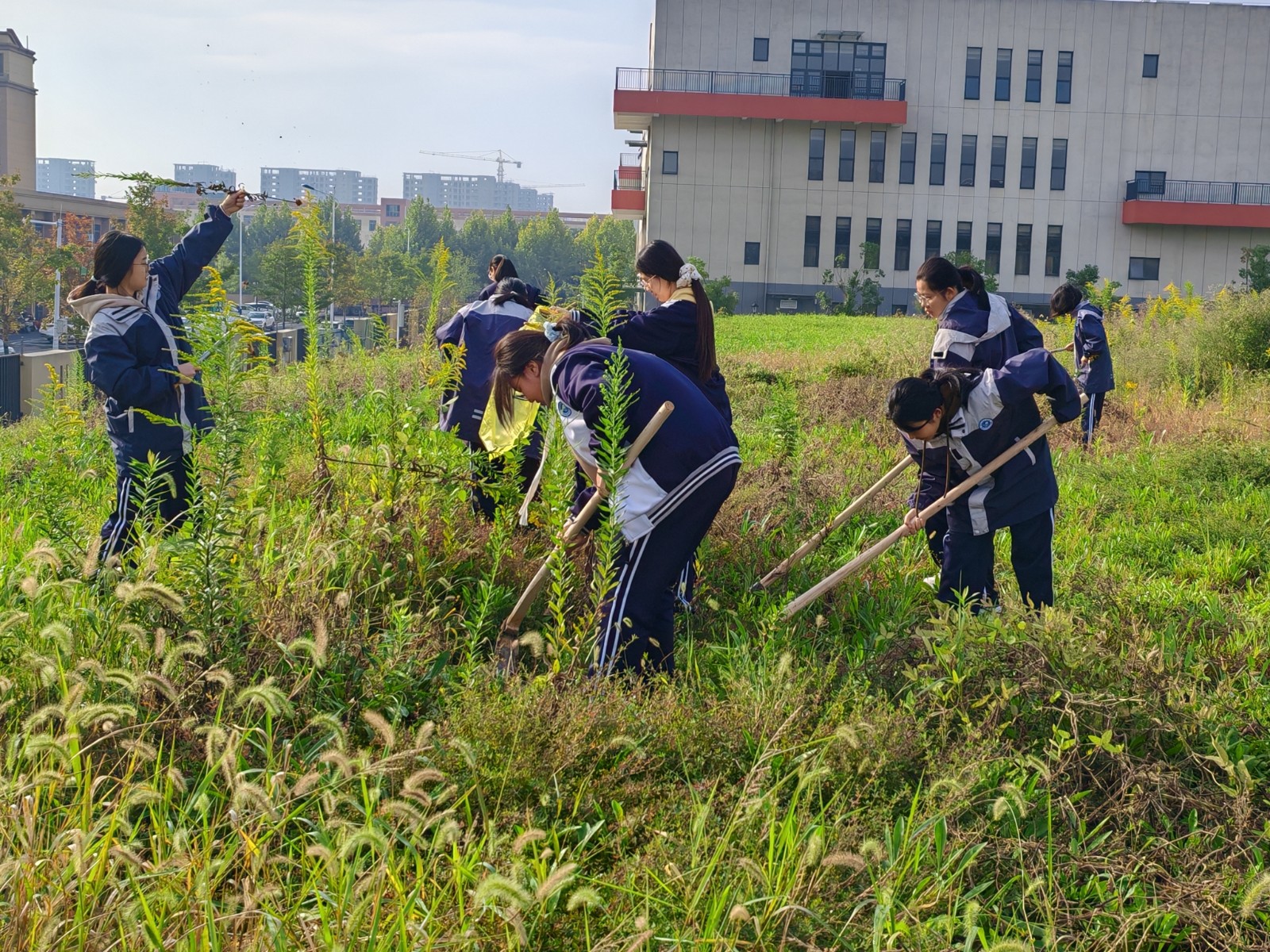 QQ图片20251204142555.jpg QQ图片20251204142555.jpg